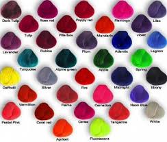 Punky Colour Hair Color Swatches I Think Im Going To