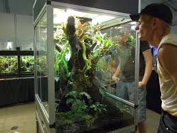 Fake Tree In Terrarium Tank Paludarium Animaux Animaux De Compagnie