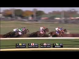 2011 Emirates Airline Breeders Cup Turf