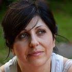 Birch Lane™ Bryden Solid Wood Kitchen Island