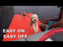 There are several components to consider when choosing the best dog mats for dog food bowls, including material, size, ease of cleaning, raised edges, and waterproofing. The Watermat Doggymat Youtube