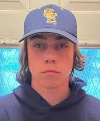 Some of top baseball performers in Springfield area so far