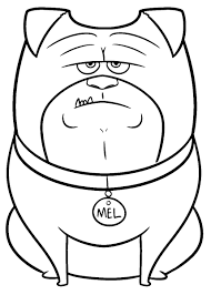 The 10 cute hamster coloring pages for kids: The Secret Life Of Pets Coloring Pages Birthday Printable