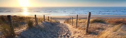 West marbella gmbh is a zurich based boutique consulting company which can help you to make your dream of living by the sea true! Strand Zuhause Am Meer Roompot