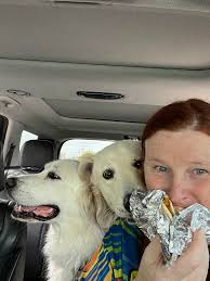 Hello this is Sally is a Great Pyrenees mix and Blue is a male Great  Pyrenees both full vaccinated love being around kids and other dogs these  are my kids dogs we