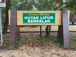 Kawasan perkelahan ini juga dilengkapkan dengan kafetaria yang menjual pelbagai jenis makanan tempatan. Air Terjun Berkelah 7 Tingkat Maran Pahang Afiq Halid