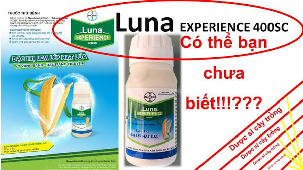 Luna Experience 400SC