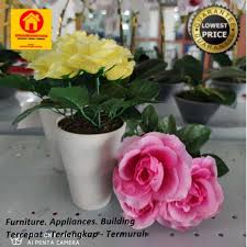 Simpanlah di awal penanaman : Jual Bunga Artificial Bunga Hias Plastik Rose In Cup Terbaru Juni 2021 Blibli