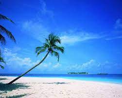 Goa India Beach Scene Wallpaper Beautiful Beaches Beach Wallpaper