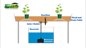 Hydroponic Flood Drain Tutorial Ebb Flow Hydroponics Hydroponics System Flood