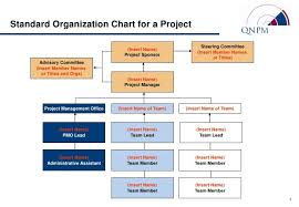 project organization chart sample customer service resume