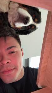 House-trained dog suddenly poops while standing