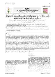 Ḥanbal // encyclopaedia of islam, three. Pdf Gigantol Induced Apoptosis In Lung Cancer Cell Through Mitochondrial Dependent Pathway