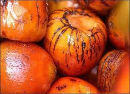 Pixbae Is Used In A Lot Of Authentic Panamanian Dishes Panama Recipe Panamanian Food Tropical Fruits