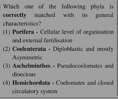 Image result for Phyla