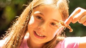 Hands-On Environmental Learning for Schools