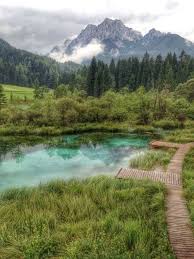 Zelenci Podkoren Slovenia Slovenia Travel Destinations Honeymoon Backpack Backpacking Vacation Europe Budget Of Slovenia Travel Places To Go Beautiful Places