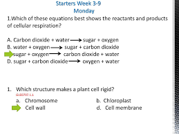 Usually, this process uses oxygen. Starters Week 3 9 Monday 1 Which Of These Equations Best Shows The Reactants And Products Of Cellular Respiration A Carbon Dioxide Water Ppt Download