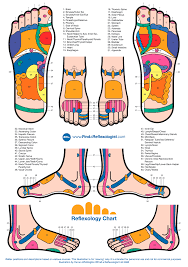 Triger Points On Feet Reflexology Chart Feet Nervous