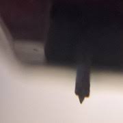 Dc 110, dn 50, dp 11 f, dp 110, dp 15 f, dp the denon dsn 51 replacement needle was identically built to replace the original needles. Cartridge Upgrade For My Denon Dl 110 Vinyl Engine