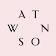 Logo Watson Style Group