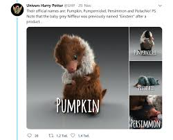 Fantastic Breasts Crimes Of Grindelwald Baby Niffler Names Harry Potter Fantastic Beasts Harry Potter Harry Potter Fandom