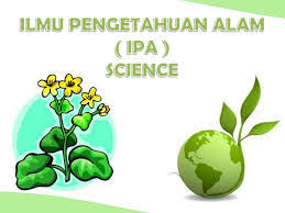 Check spelling or type a new query. Ilmu Pengetahuan Alam Penilaian Akhir Semester Quiz Quizizz