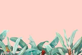 Download Premium Vector Of Hand Drawn Tropical Leaves On A Pastel Pink Latar Belakang Wallpaper Ponsel Seni Находите и прикалывайте свои пины в pinterest!