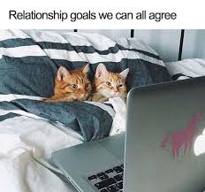 Maybe you would like to learn more about one of these? 55 Funny Relationship Memes That Will Make You And Your Partner Laugh Inspirationfeed