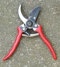 Check spelling or type a new query. Pruning Shears Wikipedia