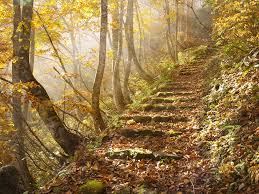 Image result for autumn pictures