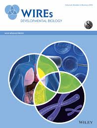 Understanding The Marvels Behind Liver Regeneration Abu Rmilah 2019 Wires Developmental Biology Wiley Online Library