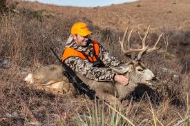 Once logged in, it will bring up your user information. Best Units For Hunting Western Mule Deer
