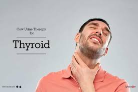 Grey hair & urine therapy. Cow Urine Therapy For Thyroid By Not Not Lybrate