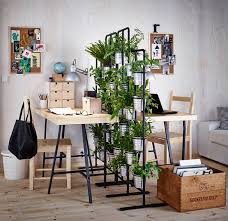 Angebote Aktionen Raumteiler Ideen Diy Raumteiler Pflanzen Zuhause