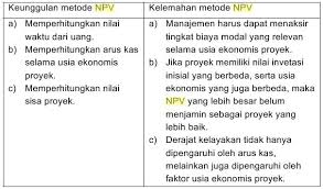 Maybe you would like to learn more about one of these? Net Present Value Npv Dan Internal Rate Of Return Irr Princess Faraa S Diary