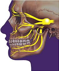 как лечить воспаление тройничного лицевого нерва в домашних условиях Vospalenie Trojnichnogo Nerva Simptomy Lechenie Nevralgii Licevogo Nerva Anatomiya Cheloveka Anatomiya Zdorove