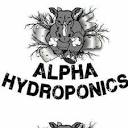 ALPHA HYDROPONICS - Updated May 2024 - 195 memorial Avenue ...