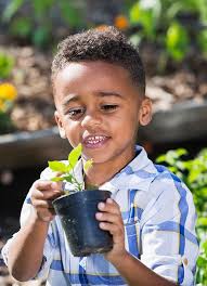 Create memories, learning & fun gardening with kids
