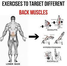 The lats perform the action of adducting and extending the humerus, this dictates how we train them. Lower Back Exercises To Target Different Back Muscles 2 Yeah We Train Back Workout Bodybuilding Lower Back Exercises Gym Back Workout