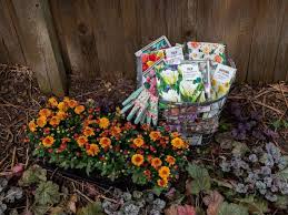 Maybe you would like to learn more about one of these? 6 Ways To Prevent Animals From Eating Flowering Bulbs