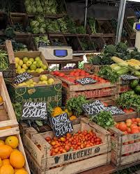 Ana Isabel Volpe (@degustaconana) • Instagram photos and videos