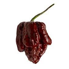 Check spelling or type a new query. Moruga Scorpion Chocolate