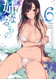 Girl Girl Ane Naru Mono 6- Ane Naru Mono Hentai Beach - Hentaic.net