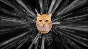 Discover and share the best gifs on tenor. 23 Meetings Communication Ideas Effective Meetings Good Advice Strategic
