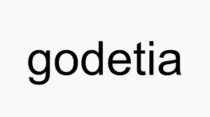 How To Pronounce Godetia Youtube