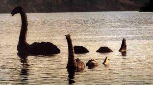 This is a gallery page containing specially selected image and media files. Scotland S Loch Ness Monster Could Be Giant Eel News Dw 05 09 2019