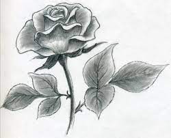 See more ideas about roses drawing, flower drawing, rose drawing. Beautiful Easy Drawings Of Roses Novocom Top