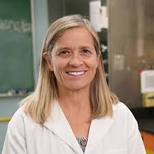 Agricultural Methane Reduction Challenge