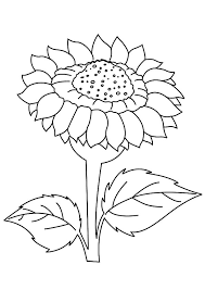 See the whole set of printables here: Parentune Free Printable Sunflower Mandala Coloring Picture Assignment Sheets Pictures For Child